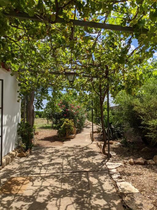 לה קאסס ד'אלקנאר Casa Rural Frente Al Mar La Toscana מראה חיצוני תמונה